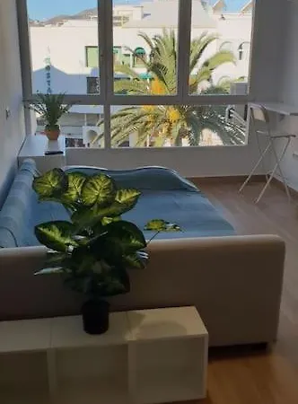 Studio Centro/playa Apartment